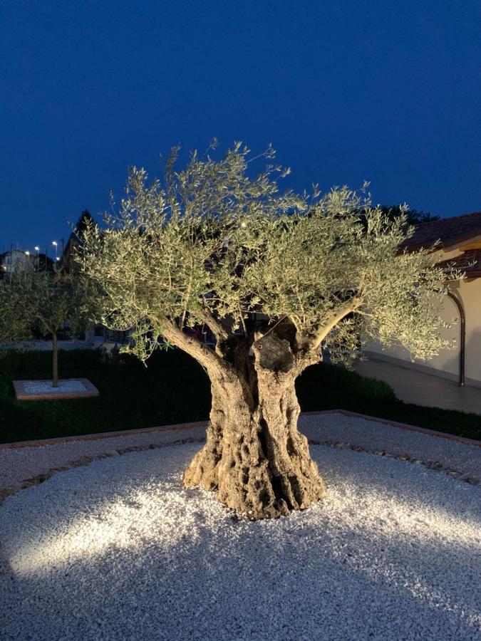 Casnate Con Bernate B&B Alciliegio מראה חיצוני תמונה